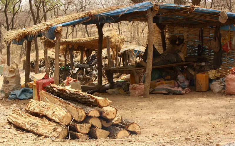 Garimpeiros artesanais no Senegal oriental, 2012